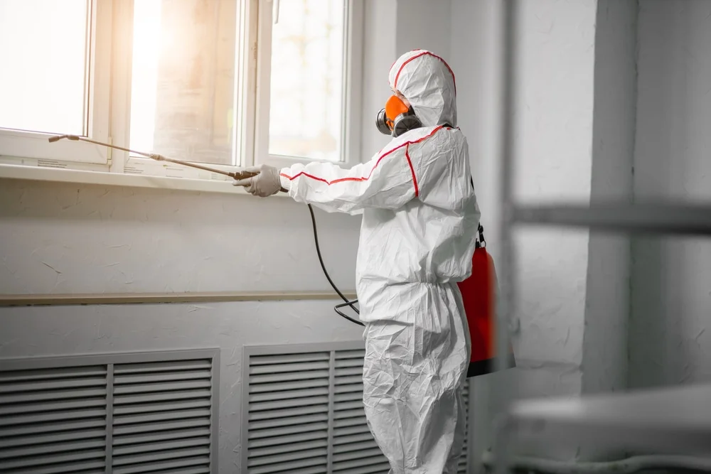 Professional mold remediation services in West College Corner, IN